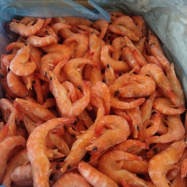 白灼香虾