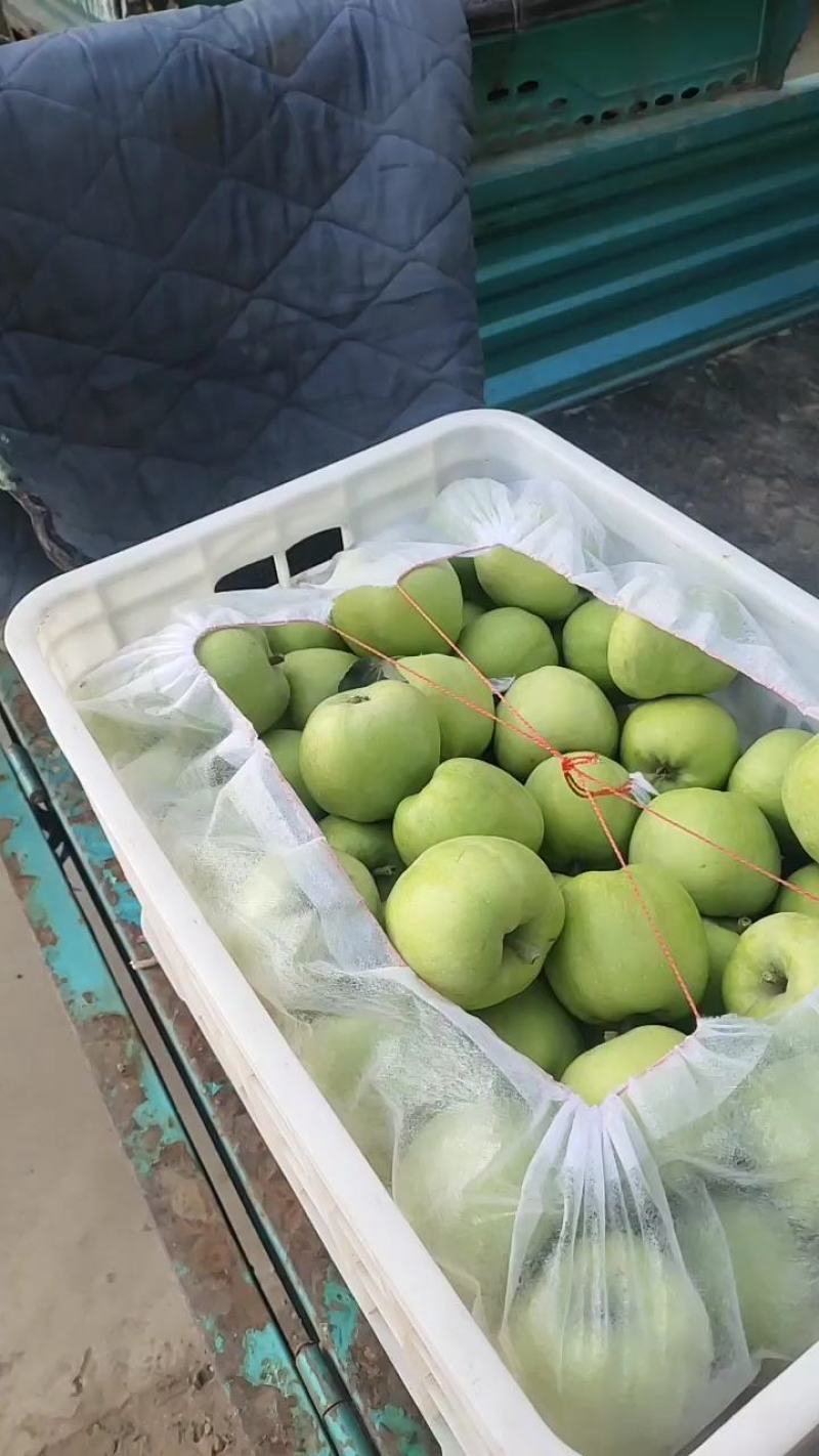 红富士苹，大果，小果，货源充足，质量保证售后，诚信第一位