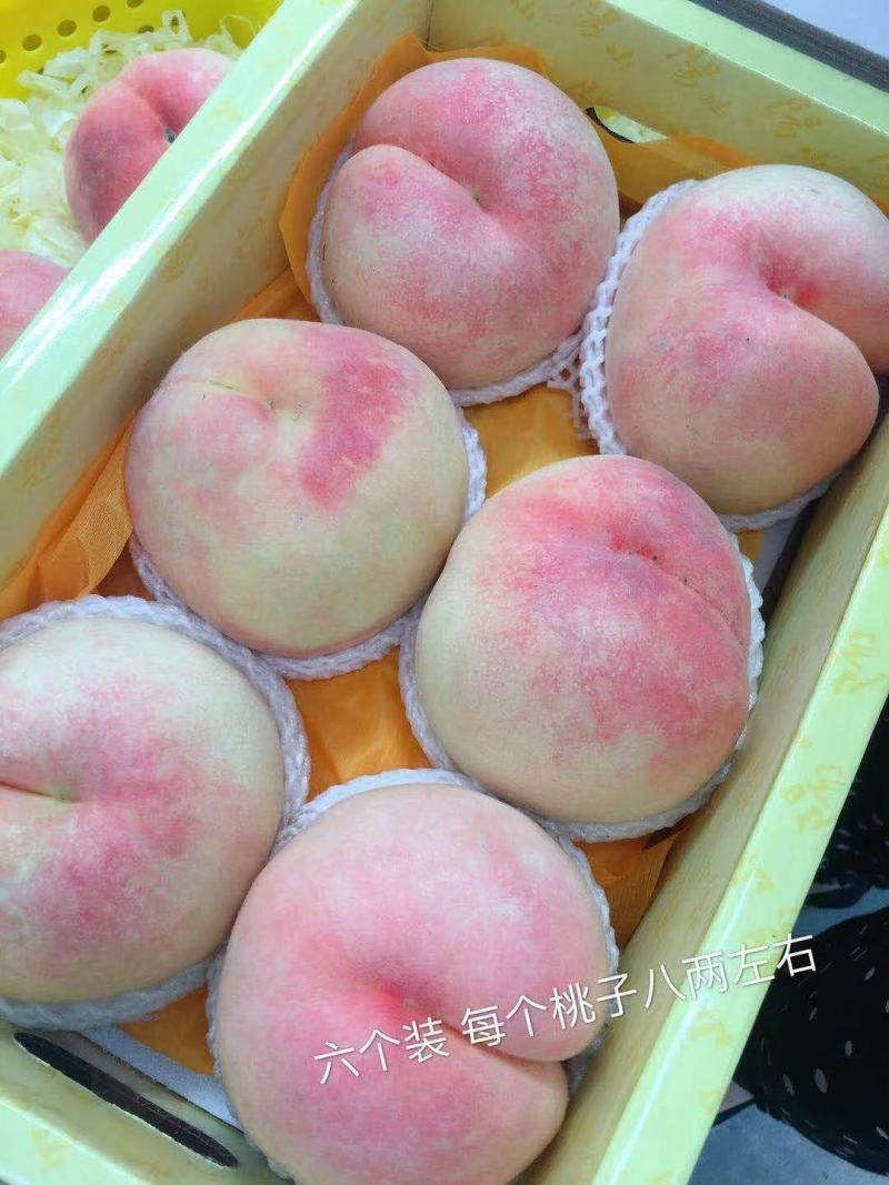 江苏阳山水蜜桃现摘现发一手货源已质论价