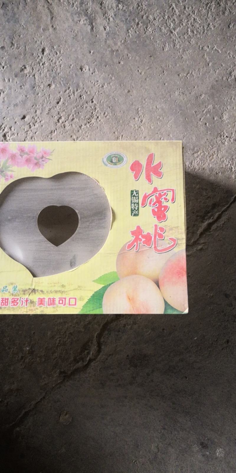 江苏阳山水蜜桃现摘现发一手货源已质论价
