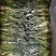 霸王花，剑花，烘干干度好，无沙无盐，广东特产，量大价优
