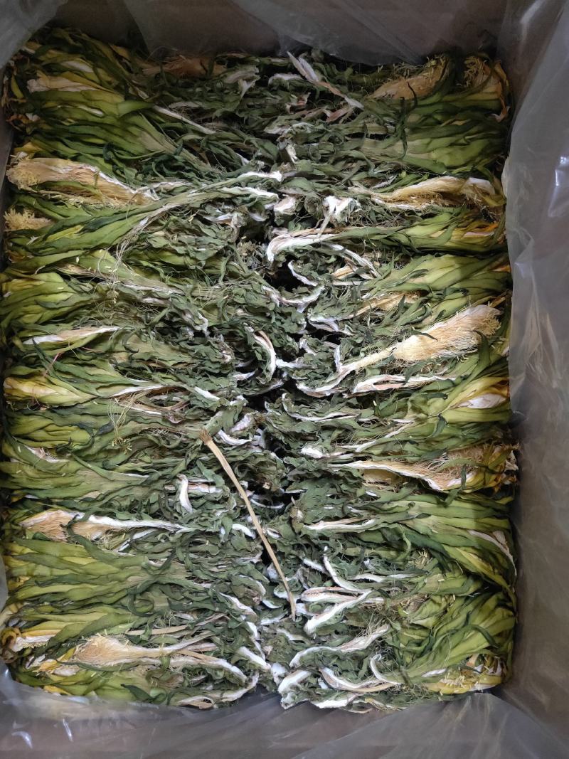 霸王花，剑花，烘干干度好，无沙无盐，广东特产，量大价优