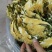 霸王花，剑花，烘干干度好，无沙无盐，广东特产，量大价优