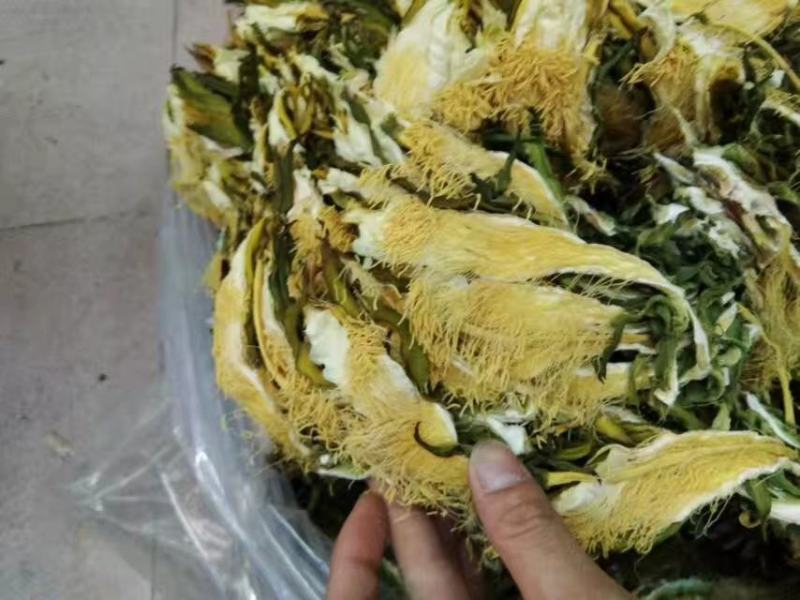 霸王花，剑花，烘干干度好，无沙无盐，广东特产，量大价优