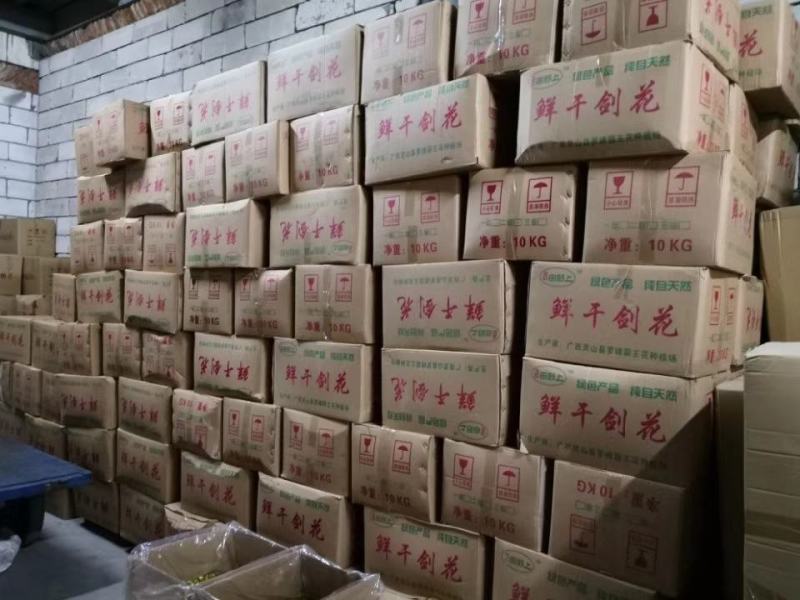 霸王花，剑花，烘干干度好，无沙无盐，广东特产，量大价优