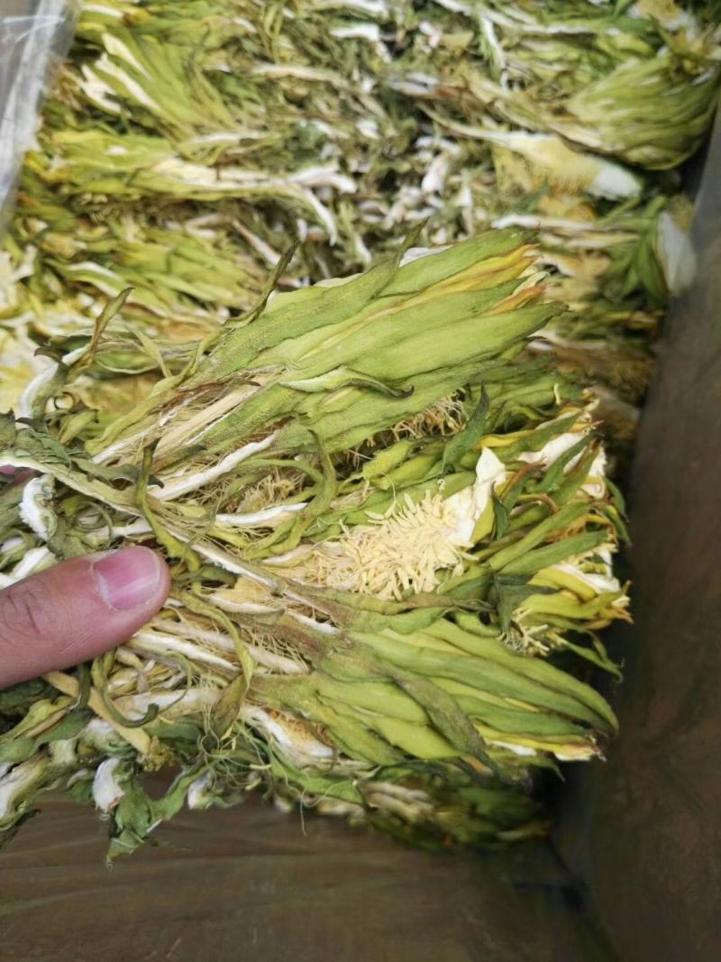 霸王花，剑花，烘干干度好，无沙无盐，广东特产，量大价优