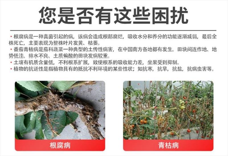 哈茨木霉菌微生物菌剂防根腐促生根抗重茬改良土壤有益菌