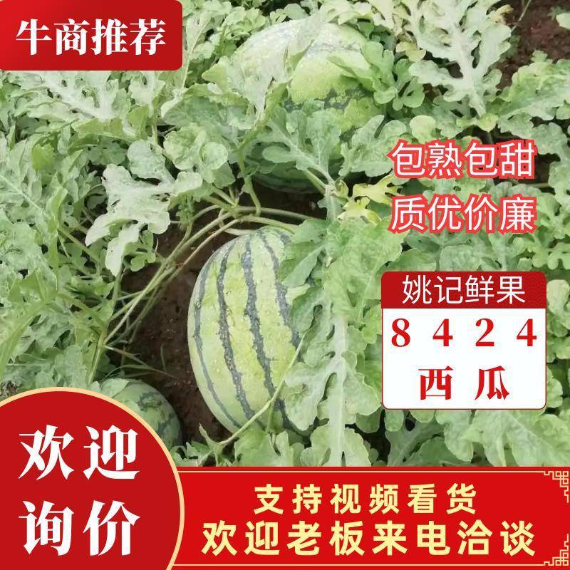 美都/8424/金诚/黑美人/各种规格/承接巿场各大平台