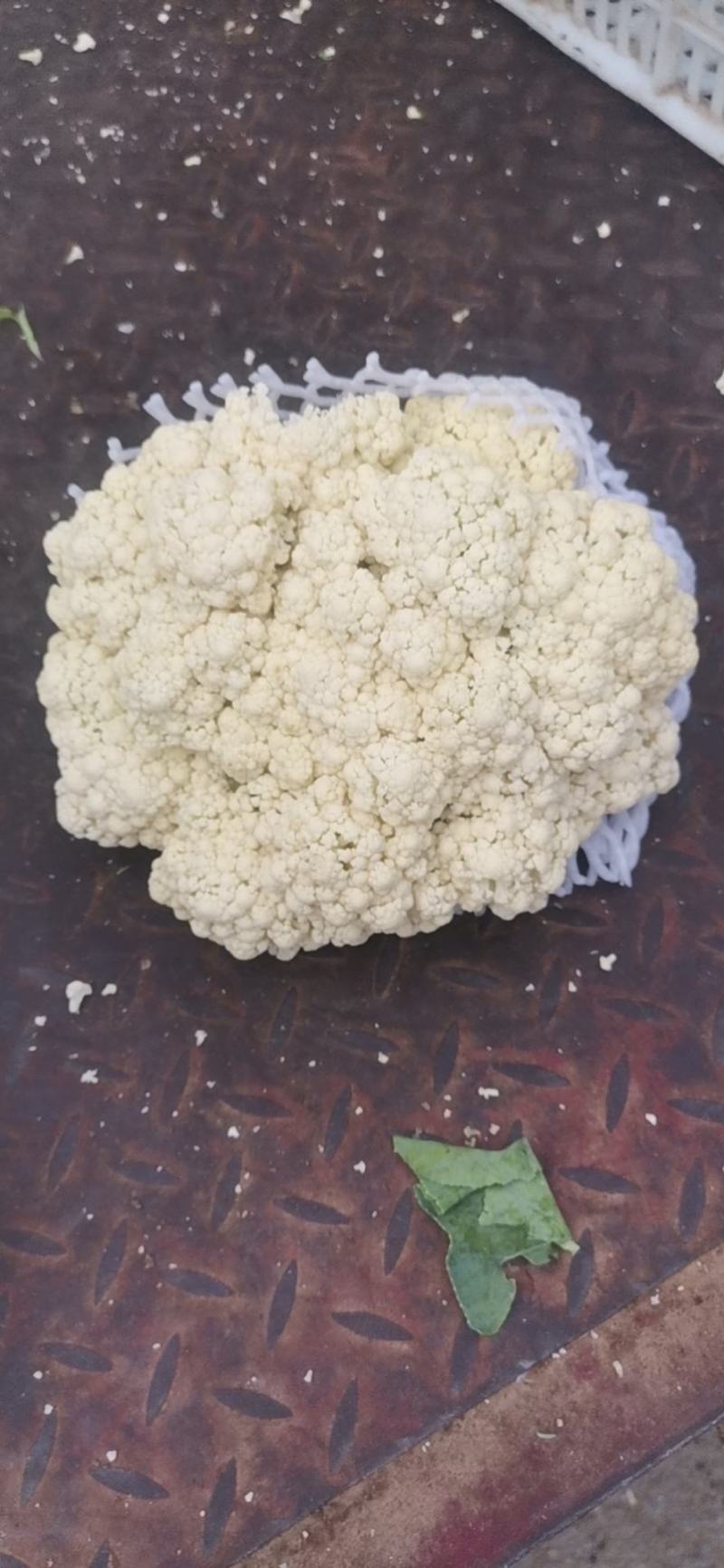 有机花