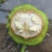 核桃【推荐】金博丰礼品2号青皮核桃特大丰产地直销现摘现