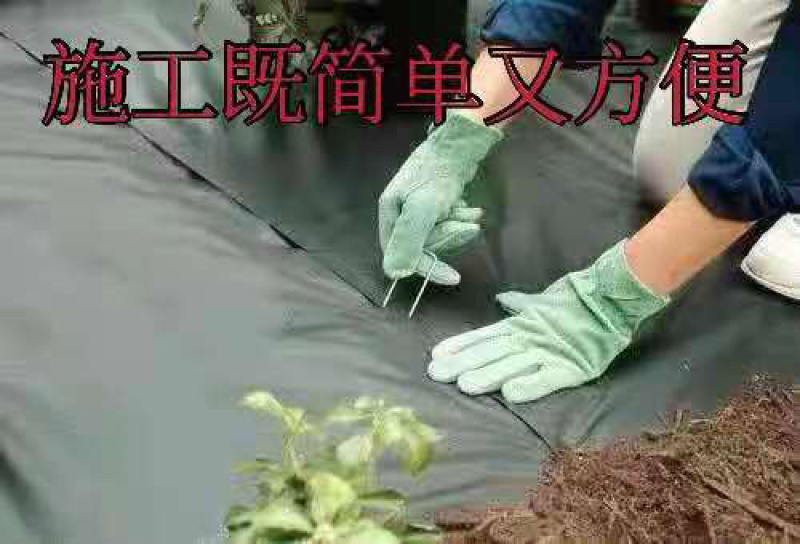 U型地钉防草布地布钉草坪地膜三维网土工格栅加粗加长固定器