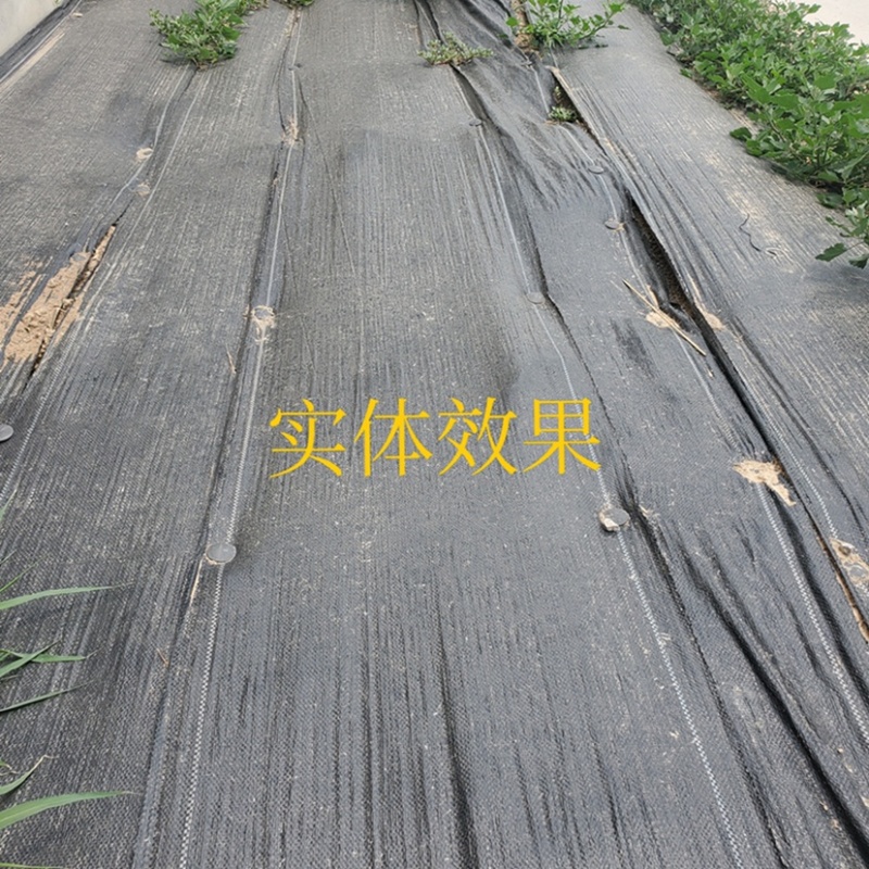 U型地钉防草布地布钉草坪地膜三维网土工格栅加粗加长固定器