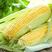 水果玉米看货论价，保质保量欢迎咨询订购