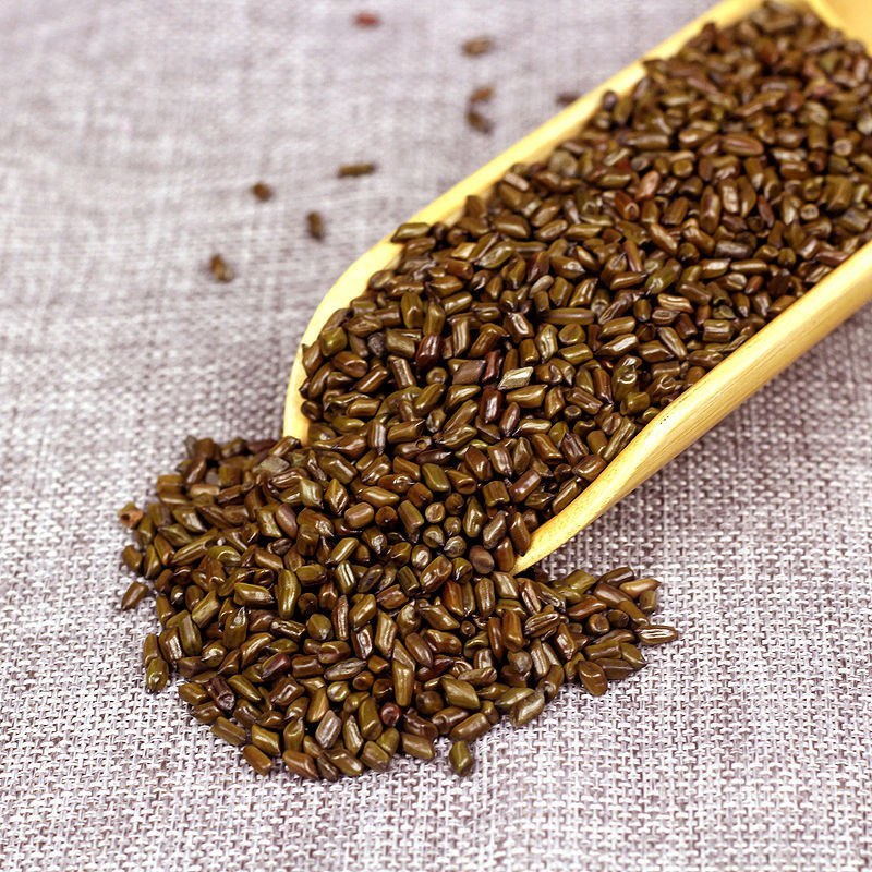 决明子决明子茶宁夏熟决明子决明子泡茶炒制决明子