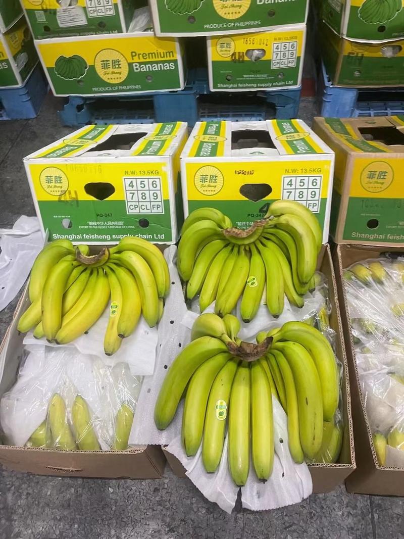 进口菲律宾特价香蕉常年供应精品香蕉实力供应