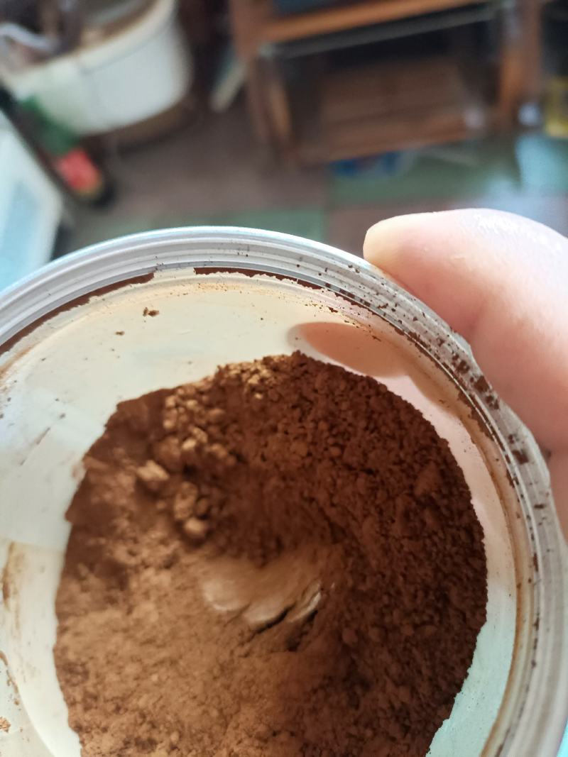 桑黄干品西峡县科达菌种厂桑黄种植基地