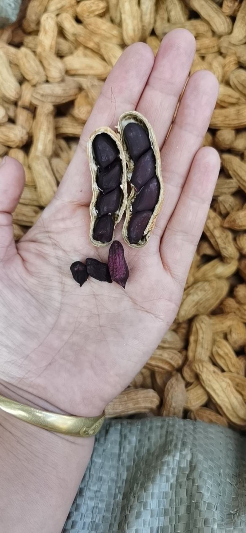 云南普洱黑花生