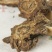羌活中药材羌活野生羌活正品羌活片川羌竹节羌