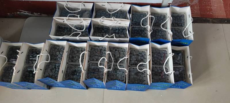 山东蓝莓鲜果水果新鲜蓝莓当季整箱时令现摘8盒批发