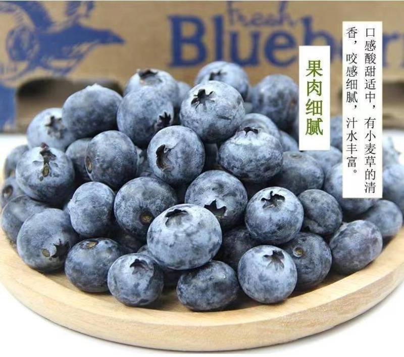 现摘新鲜山东蓝莓精选大果125g*8盒当季时令水果鲜果孕