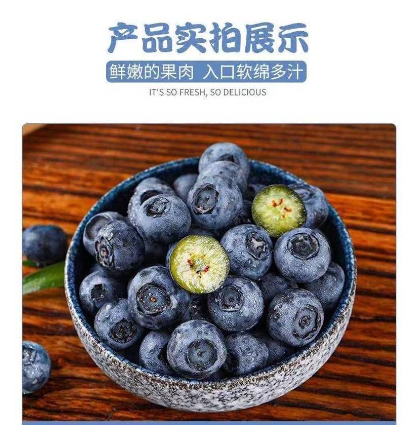 现摘新鲜山东蓝莓精选大果125g*8盒当季时令水果鲜果孕