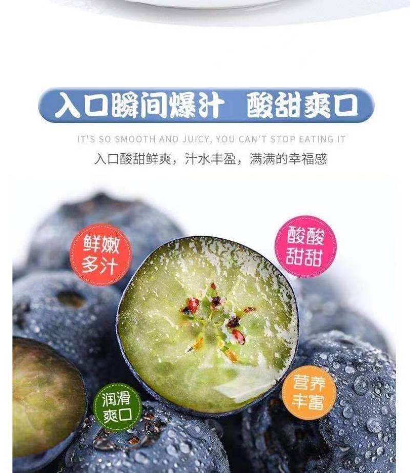 现摘新鲜山东蓝莓精选大果125g*8盒当季时令水果鲜果孕