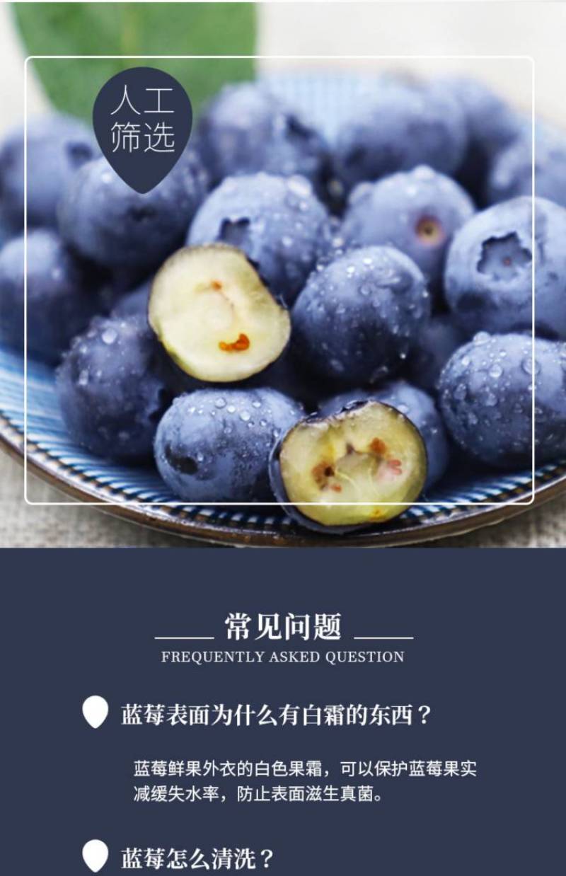 现摘新鲜山东蓝莓精选大果125g*8盒当季时令水果鲜果孕