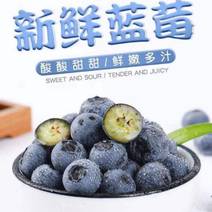 现摘新鲜山东蓝莓精选大果125g*8盒当季时令水果鲜果孕