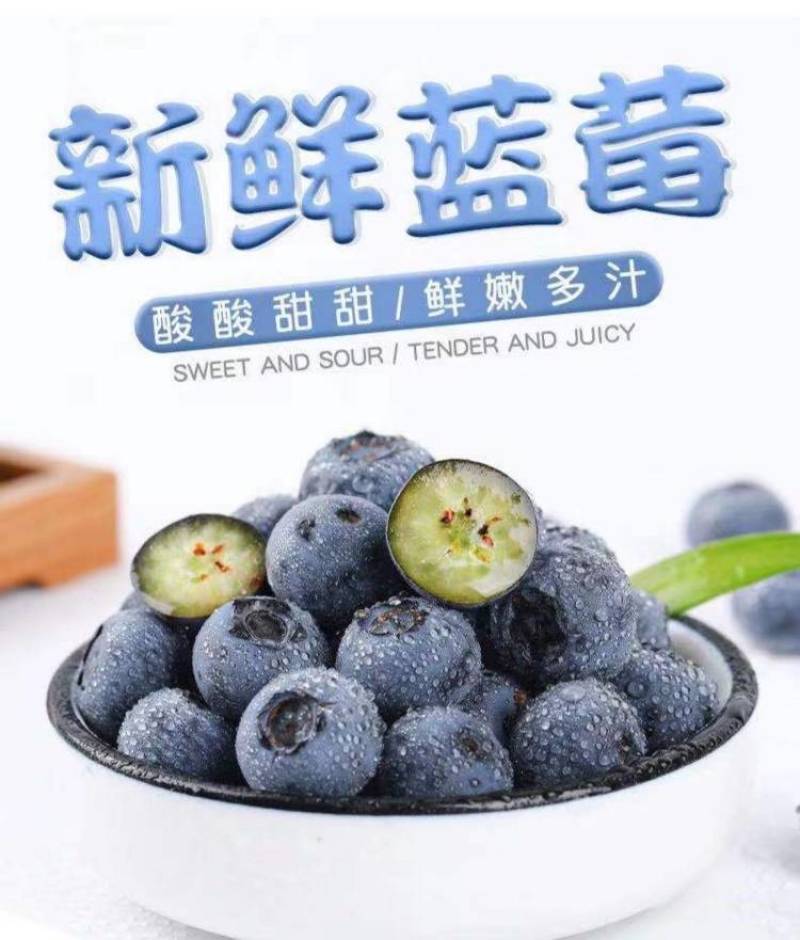 现摘新鲜山东蓝莓精选大果125g*8盒当季时令水果鲜果孕