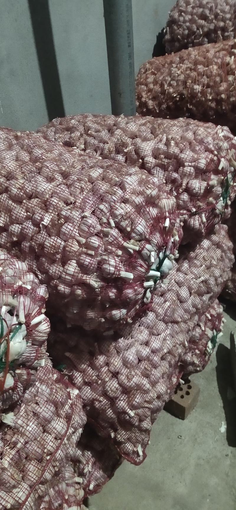 苍山大蒜，四六瓣，多瓣，红皮，