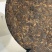 普洱茶熟茶七子饼茶2008年布朗山老班章特级
