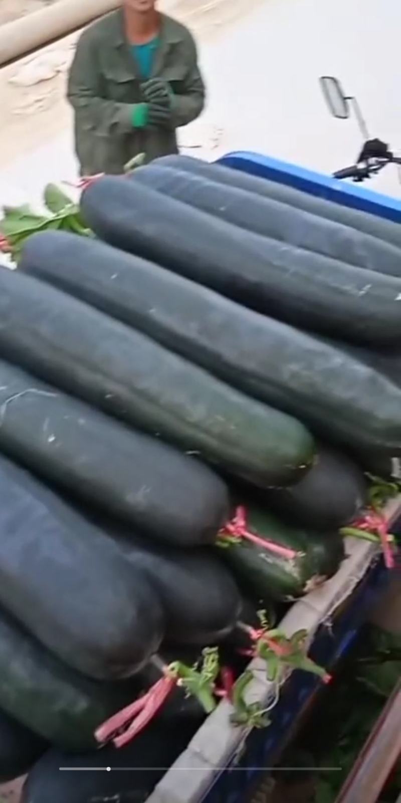 黑皮，绿优，黑牛精品吊冬瓜，支持视频看货大量供应