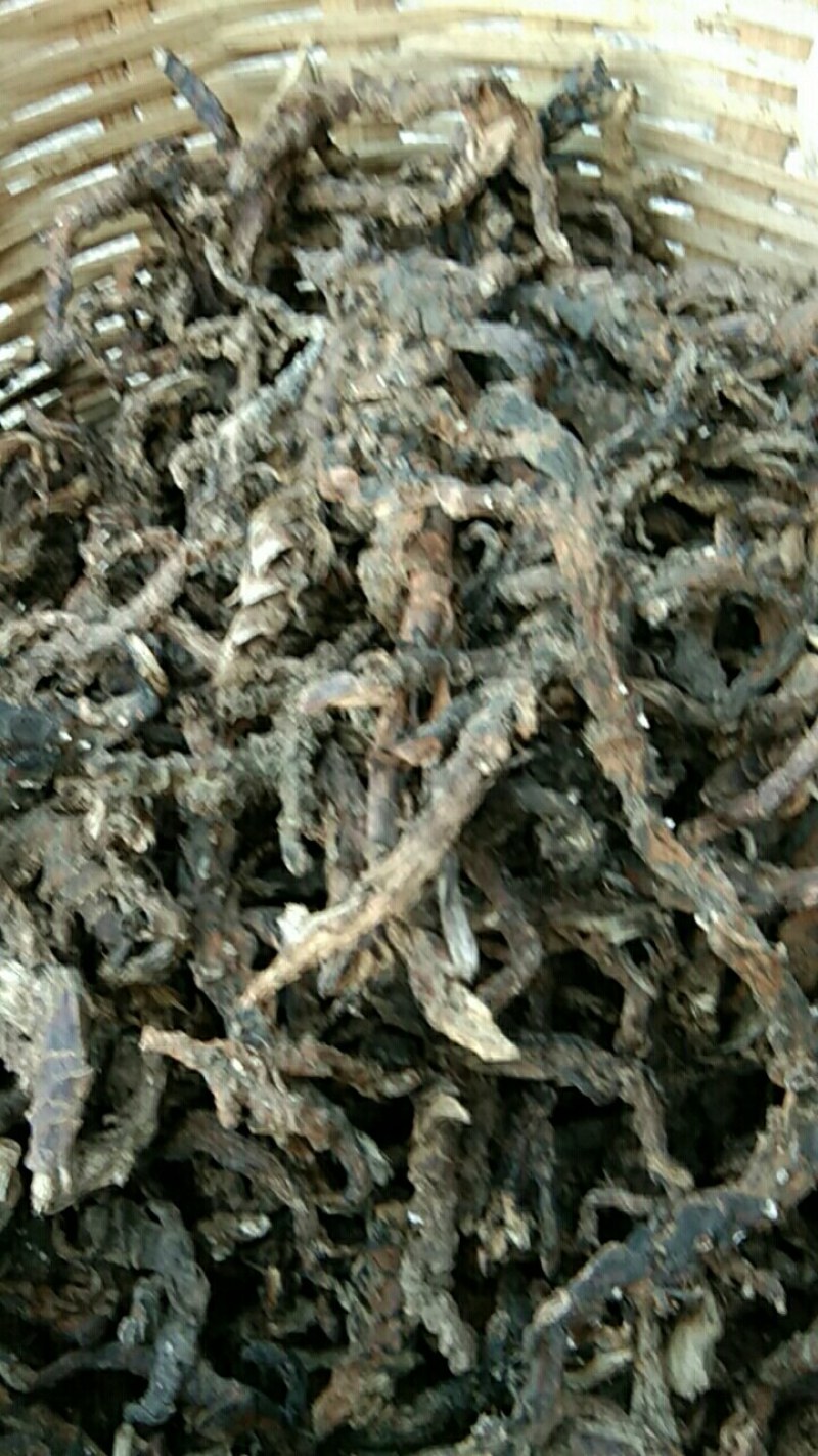 石菖蒲