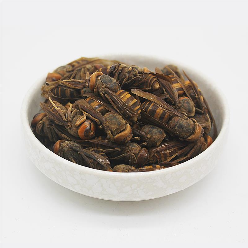 【特级正品】马蜂中药材胡蜂酒马蜂酒干品虎头蜂泡酒料