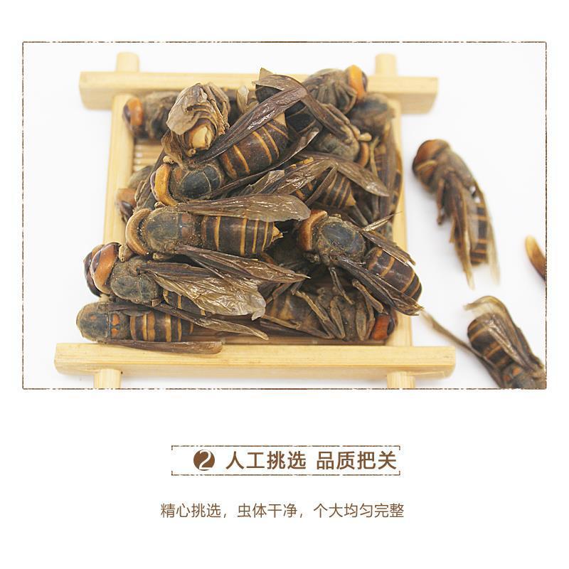 【特级正品】马蜂中药材胡蜂酒马蜂酒干品虎头蜂泡酒料