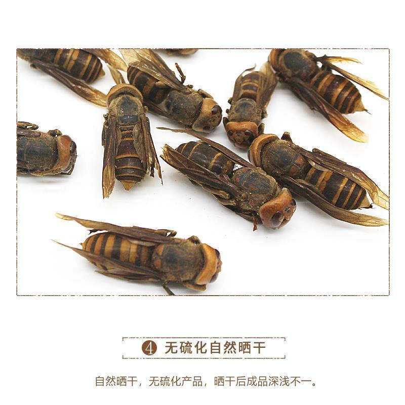 【特级正品】马蜂中药材胡蜂酒马蜂酒干品虎头蜂泡酒料