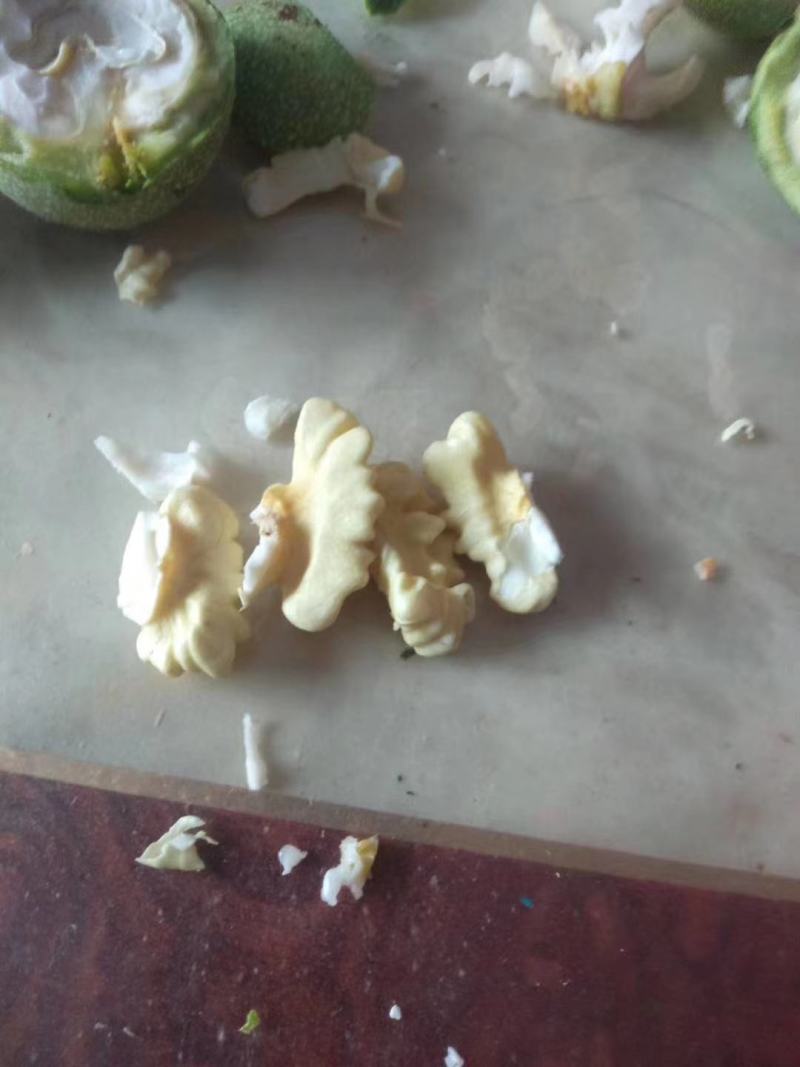 代收，代加工青皮核桃
