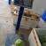 广东香芋冬瓜台湾引进对接商超连锁酒店电商社区团购