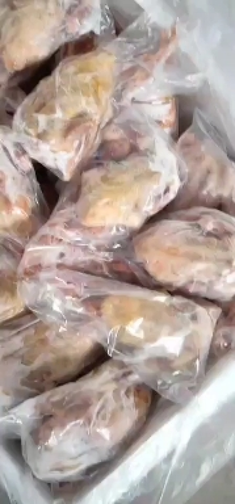 原粮，鸽，新鲜乳鸽，一手货源，量大从优，