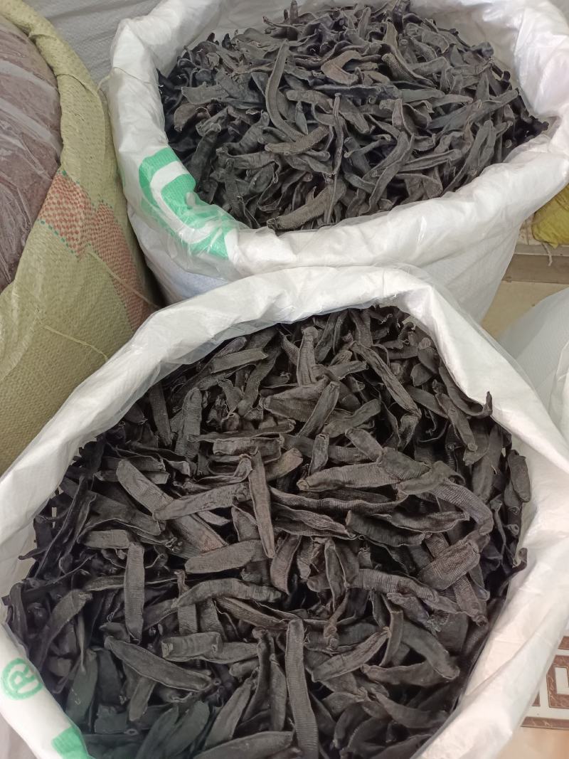 菲牛水蛭中药材水蛭，吸血蚂蝗菲牛蛭清水，物美价廉