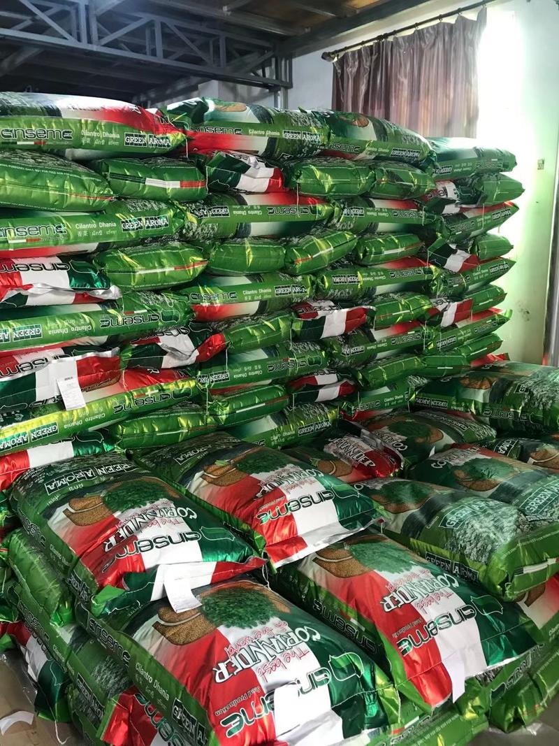 进口安瑟尔澳洲波尔耐热香菜种子，产量高，耐抽苔购买请联系
