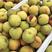 黄桃基地大量黄桃下果，3000亩产业园，欢迎老板咨询采购