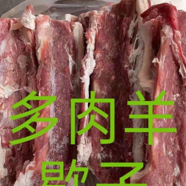 羊蝎子，多肉羊蝎子，满肉羊蝎子都有，质量看得见