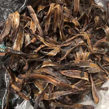 干净新品特级地龙干低价出货