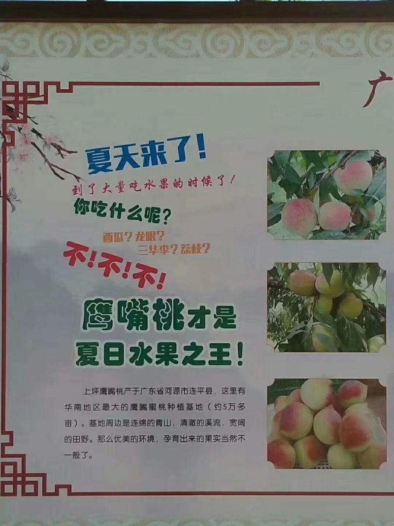 最后一波清园价68元九省包邮