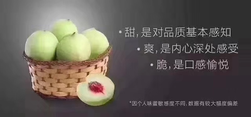 最后一波清园价68元九省包邮