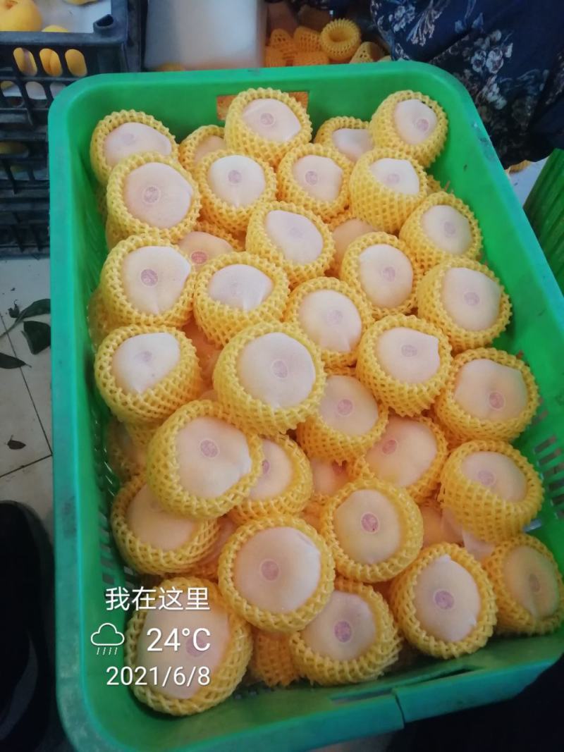 黄桃，四川黄毛桃，脆黄桃，精品桃，精品水果