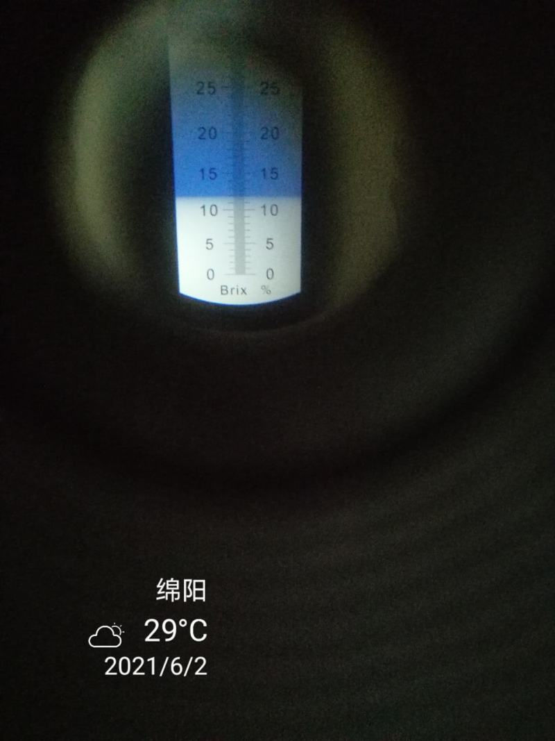 黄桃，四川黄毛桃，脆黄桃，精品桃，精品水果