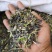 板蓝根种子中药材板蓝根苗植物板蓝根籽种籽中草药种植