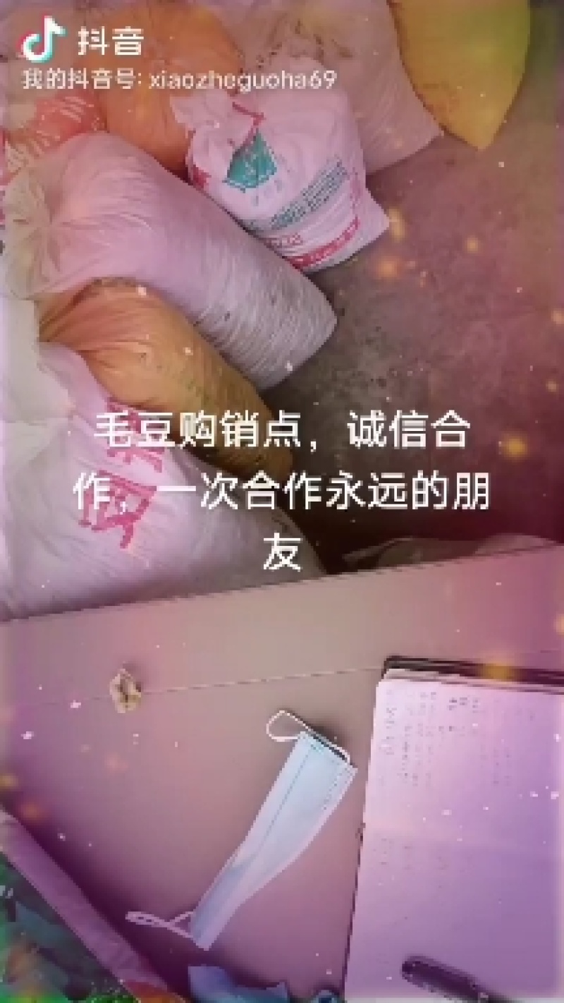 好毛豆好赚钱，基地直供，质量保证，诚信合作，供货期长